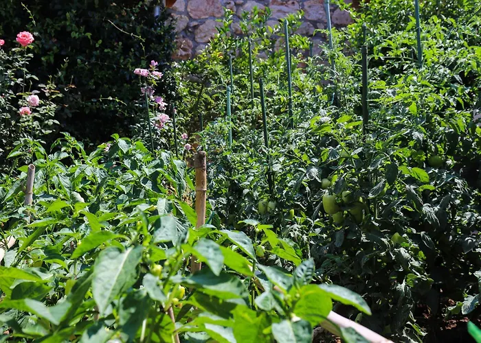 Appartement Garden M&m