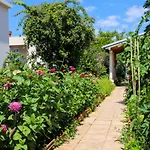 Garden M&m