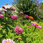Διαμέρισμα Garden M&m Ντουμπρόβνικ