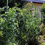 Διαμέρισμα Garden M&m